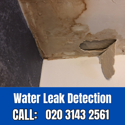 Expert Water Leak Detection Services in Eltham | Eltham Leak Detection